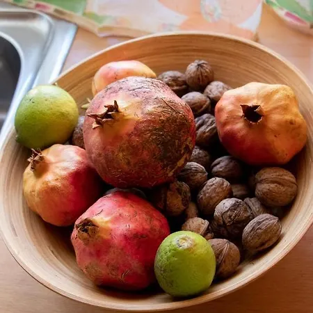 Casa Rondine Appartement Agrafoi